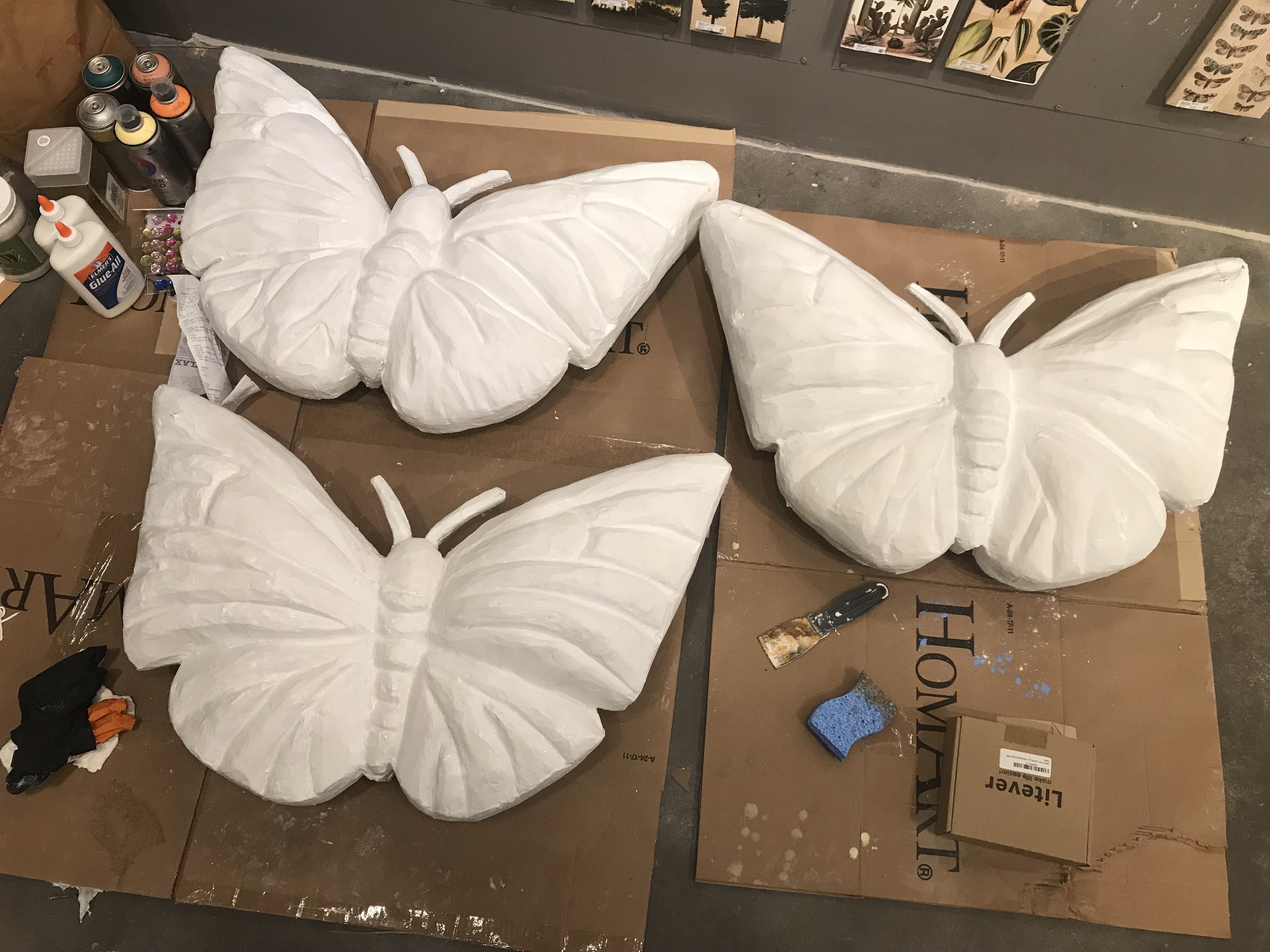 butterflies process 1