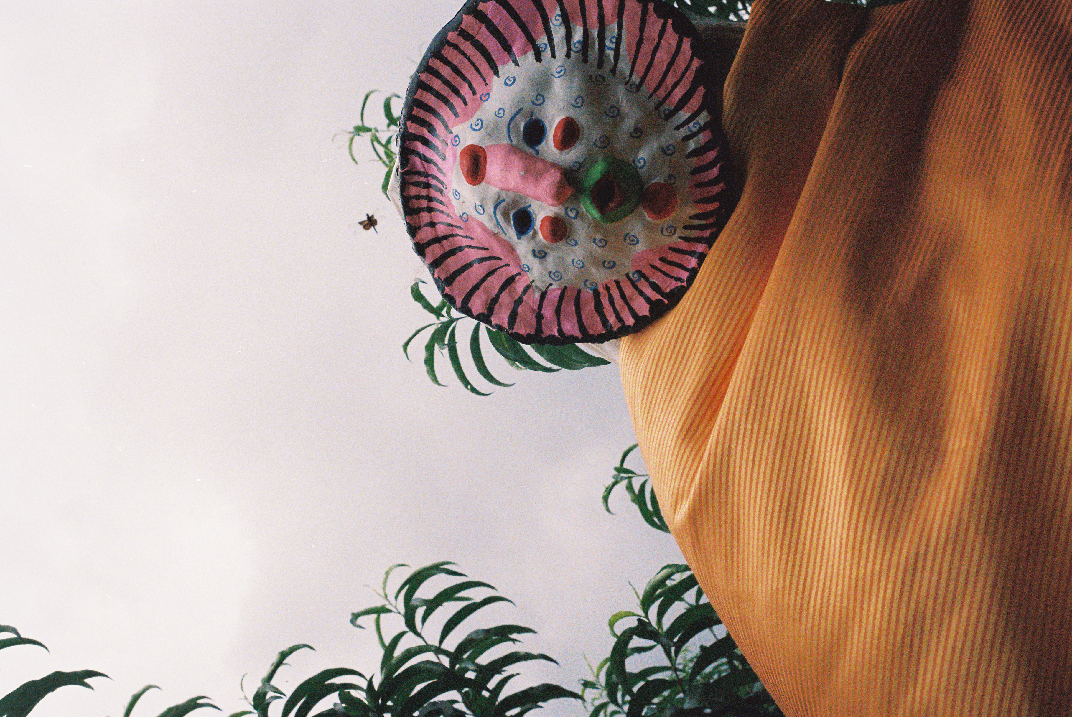 mask with dragon fly